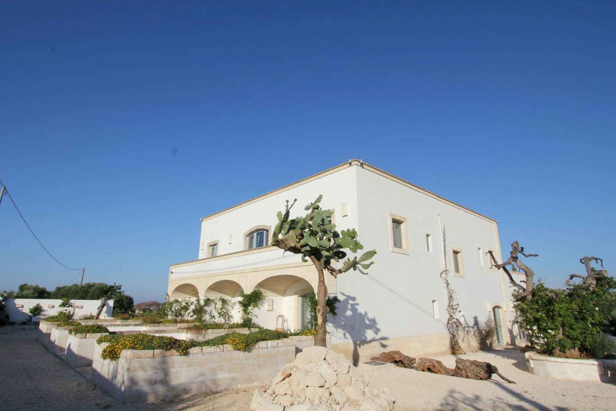 Masseria Lama Di Coccaro 사벨레트리 외부 사진