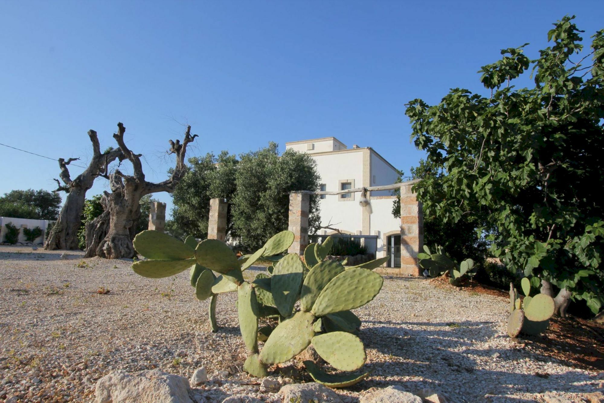Masseria Lama Di Coccaro 사벨레트리 외부 사진