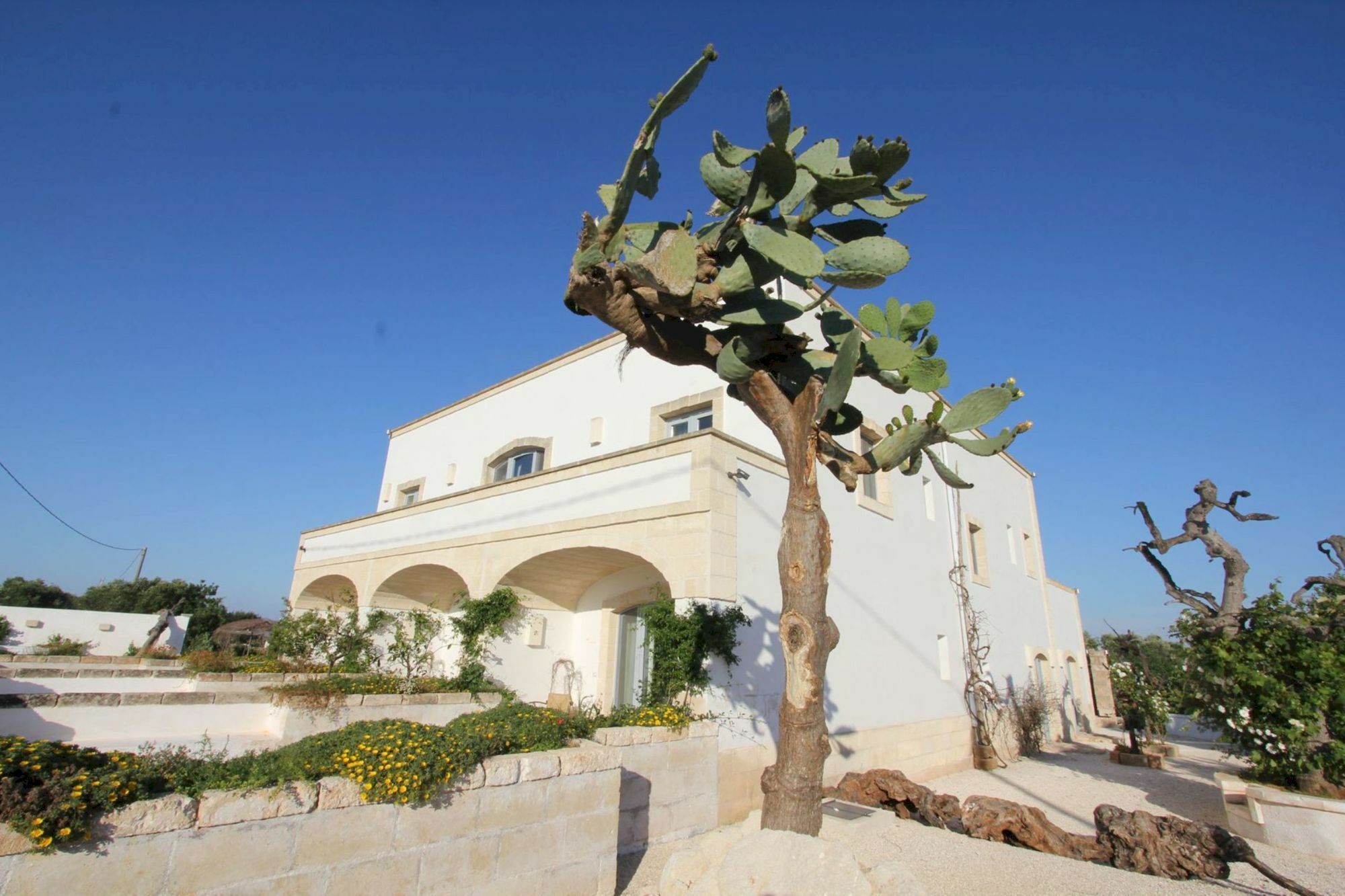 Masseria Lama Di Coccaro 사벨레트리 외부 사진